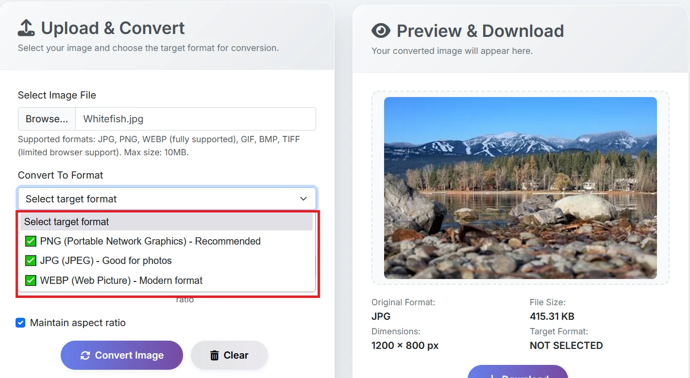 Step 2 - Select Target Format
