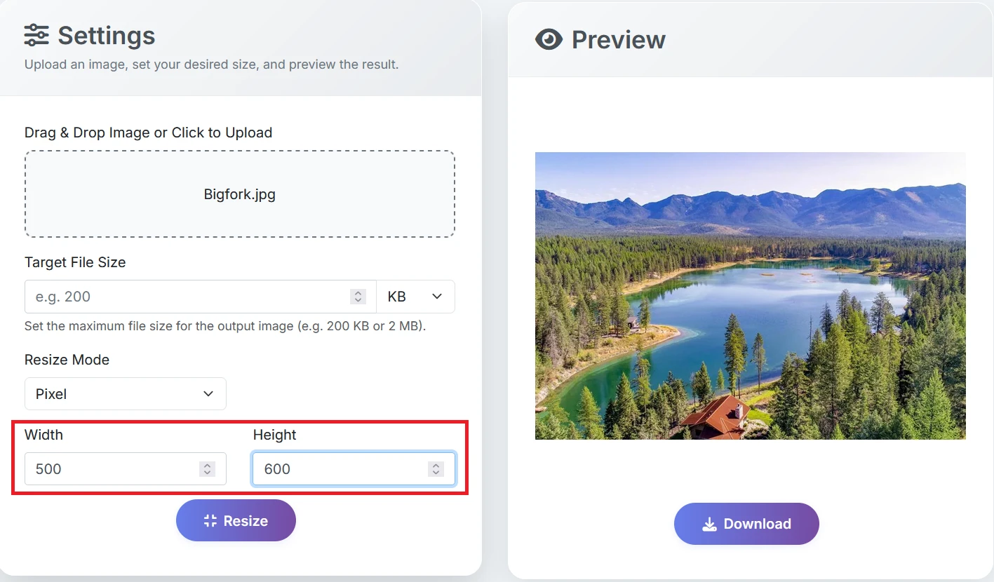 Step 2: Set Resize Options